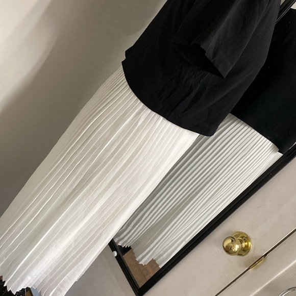 Alison Andrew’s for Anthro Dress drop waist accordion fold Pleated lined skirt - Picture 6 of 12